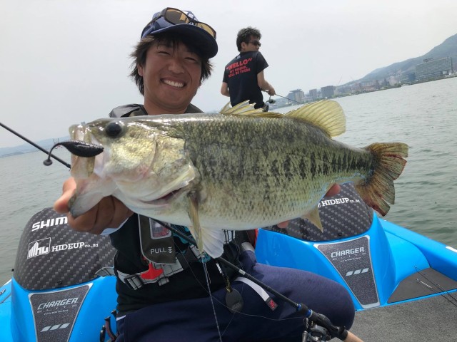 org_20180517_Hn0xQ24IystSHs6j