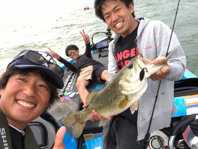 org_20180517_OY1b9KpqN6Ybyi7y