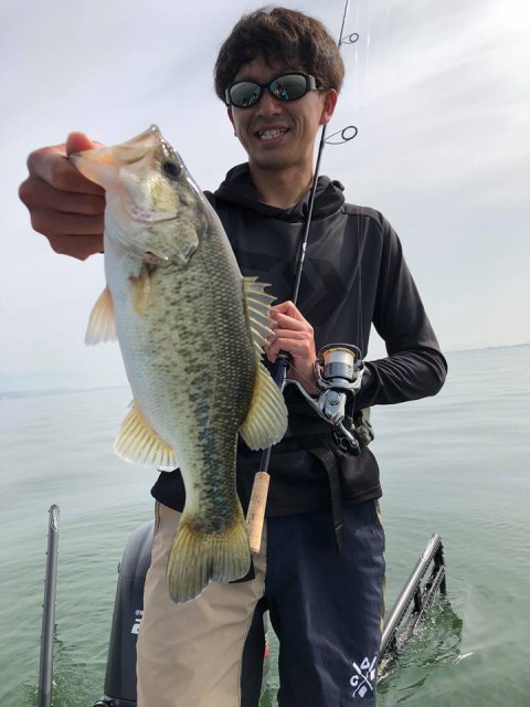 org_20180517_OxZI3n8io5y7SPpK