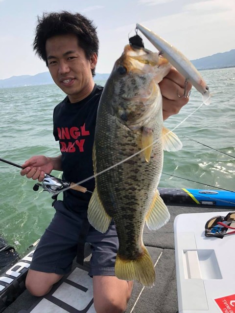 org_20180517_QRI1M4FI0HRcfEBD