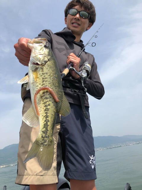 org_20180517__Y81X5oDGI5XeRUq