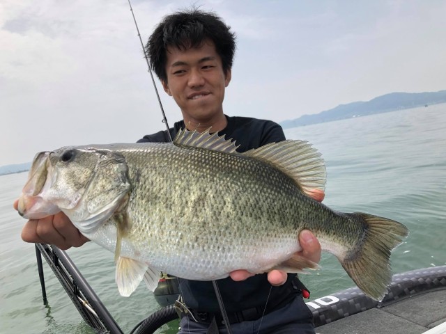 org_20180517_fNxKkTFd0ORvM6pa