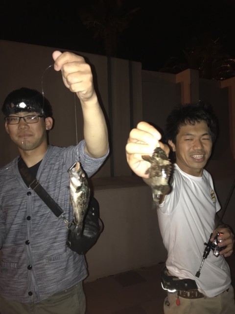 1aadef11-242d-404e-aa0f-ae553dea92ac