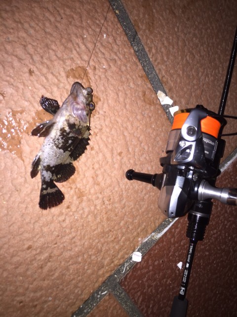 33202a8b-ff0d-4922-8e08-456a80a68ff2