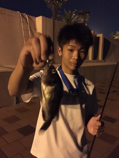 4432454c-aa88-4d81-86f2-fc9604d24d92