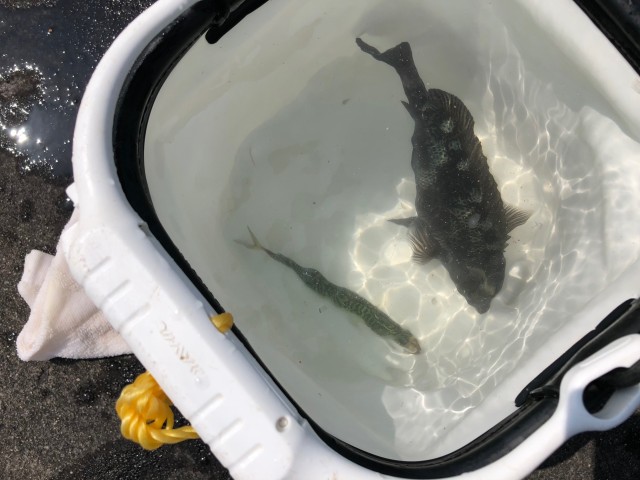 6.9ヨットハーバー1