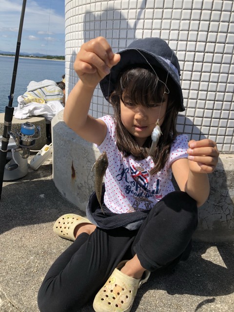 香良洲漁港キス接岸中！！