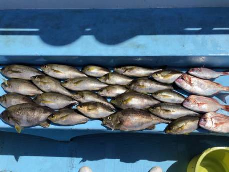 865951d52f3c48c95bd8d5511b360a31d2690f48