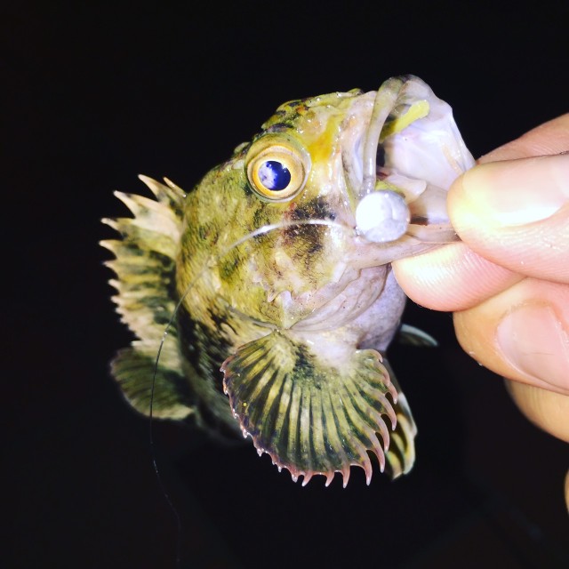 950cde33-4769-49eb-be01-c223f401695a