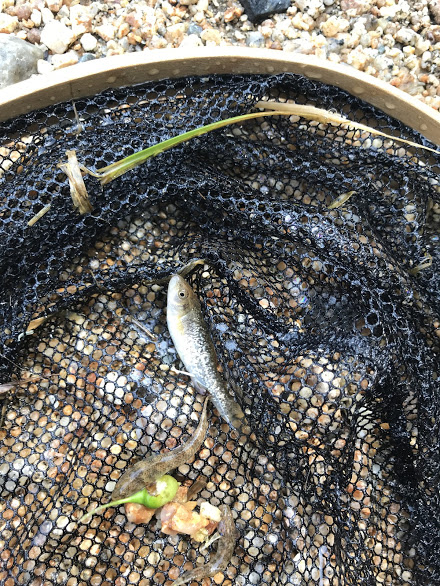 CF9B22FD-D25B-4191-8775-176E2EA559EC