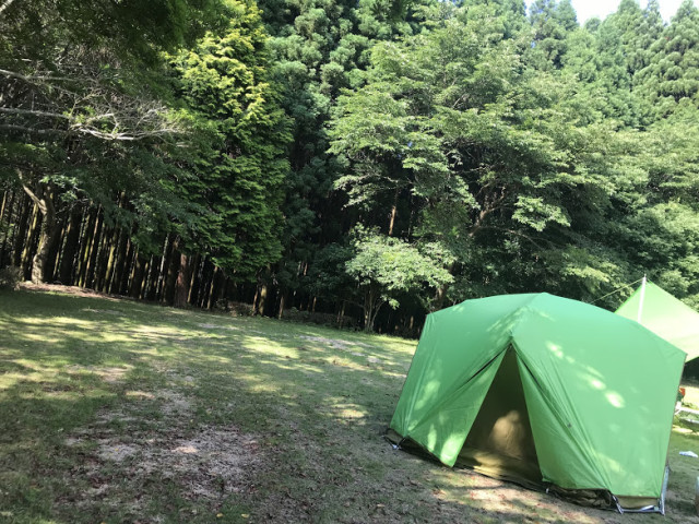 D08A496C-4CB3-4563-BA1E-8E8315761B62