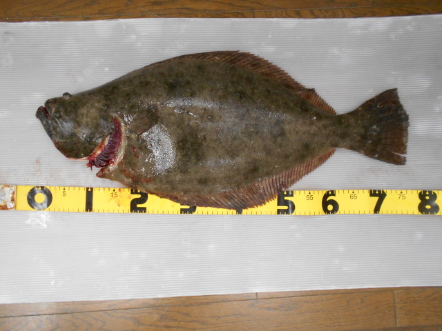 最近の津周辺、盛り上がってきてます！