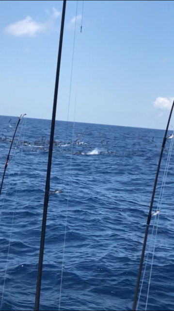 b33d803633769d52fd43a39dfe450016