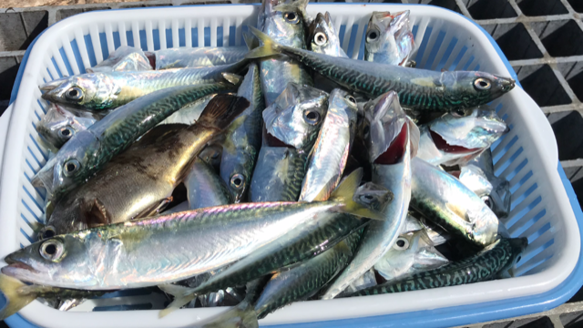 !cid_0B3A8D87-6B2E-49A6-AED7-572866EFC330