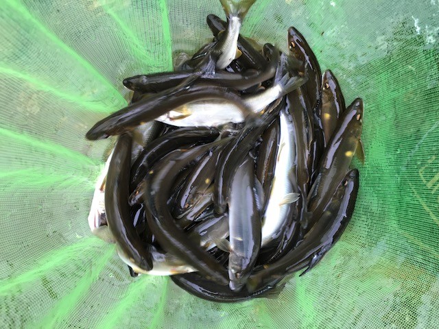 !cid_0D47C423-BD94-4AD2-8A52-3519768972BE