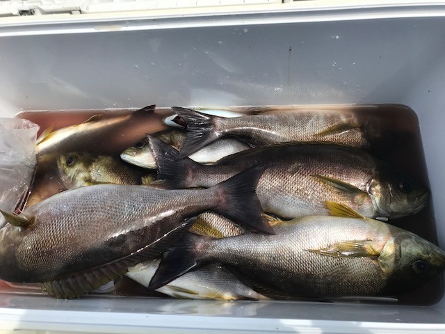 !cid_102740F2-7C0B-4F75-A3C8-C386314431B7