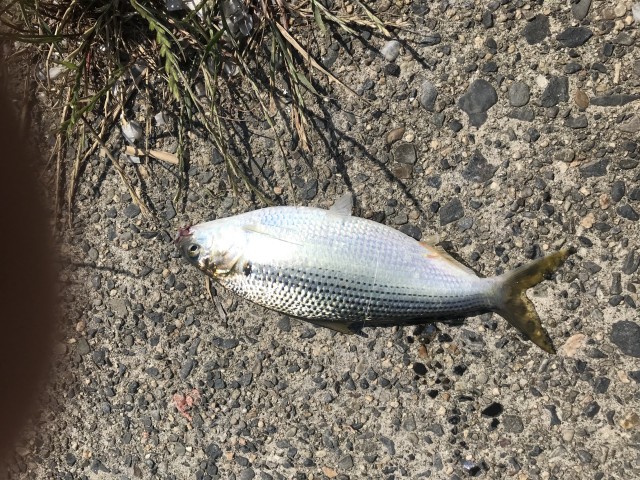 !cid_163c2f43e5c9b8b935c1