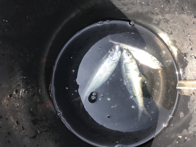 !cid_163c2f44a8b50e16e5b2