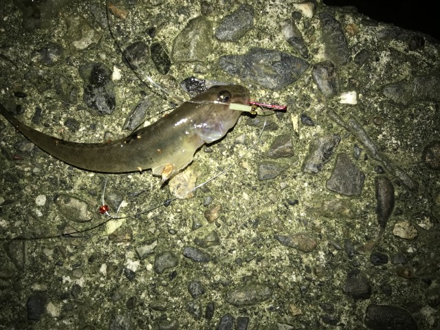 !cid_354AD985-17F8-4E4C-9B04-1325BE32BF76