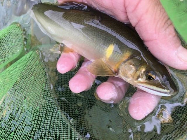 !cid_74A996FF-CFFD-4648-90DE-2717D9879BDC