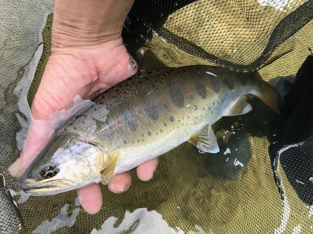 !cid_98C90AFC-FA75-463C-8D96-32D56FB8861D