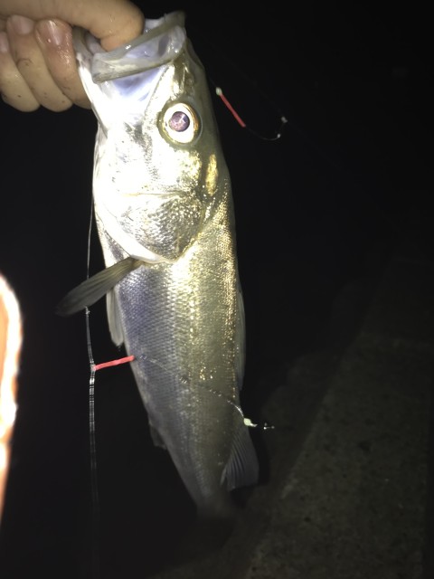 !cid_F076AD77-C37C-4D2B-A77F-B029848E8DB9