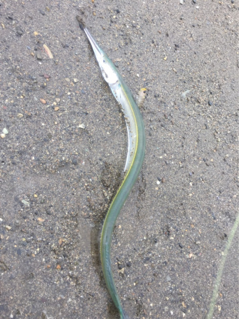 o0810108014202275312