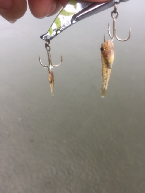 o0810108014202275316