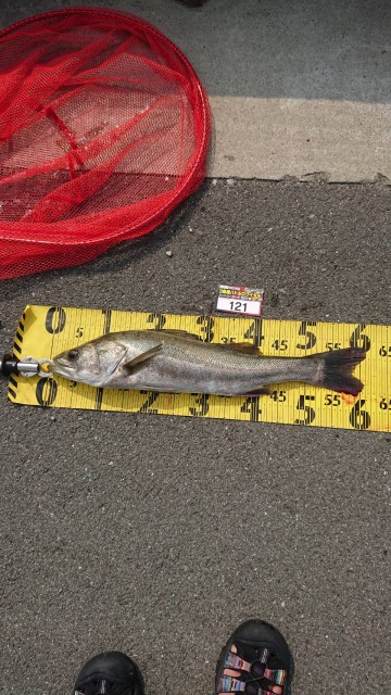 043888e0-0135-47ec-97dd-dbfc002a29a4