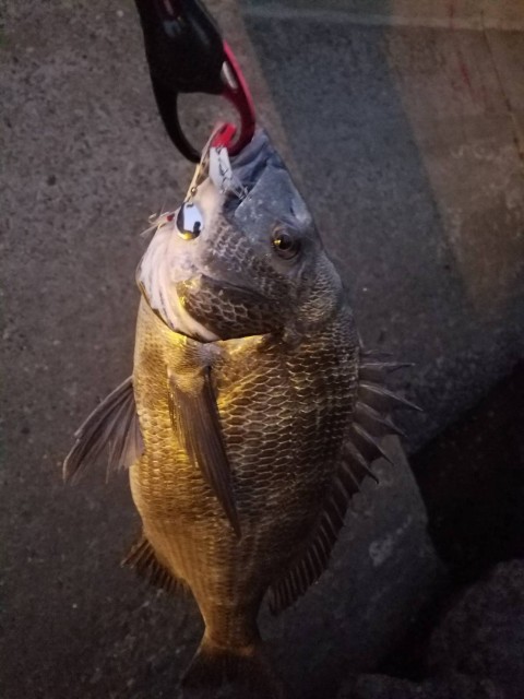 06e865e8-afcf-46cf-a1b6-ae34edeacf99