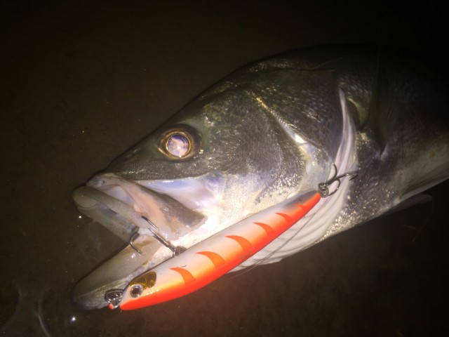 27162622-064e-40a4-bd43-a9c814c30f06