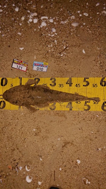 27c0869e-59d8-47be-b3d1-a664e1767e66