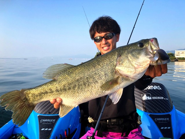 2c392661-8f91-40f7-9e86-003077b8bce4