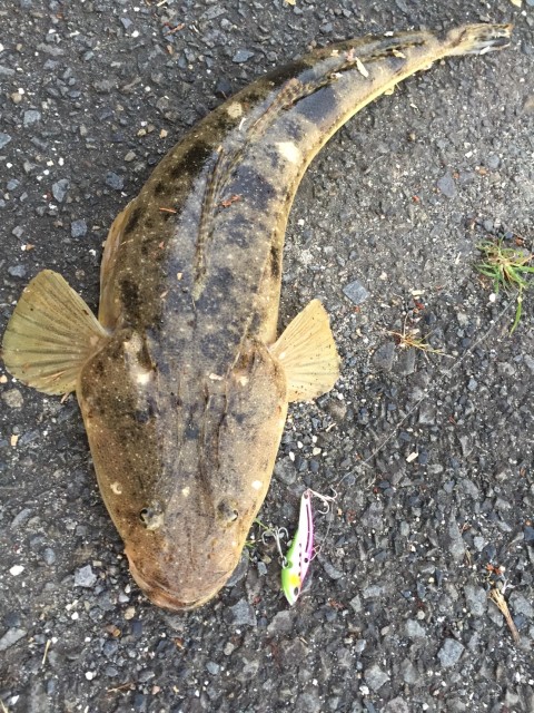 2df82963-59ad-4091-9ccf-3f838123cc39