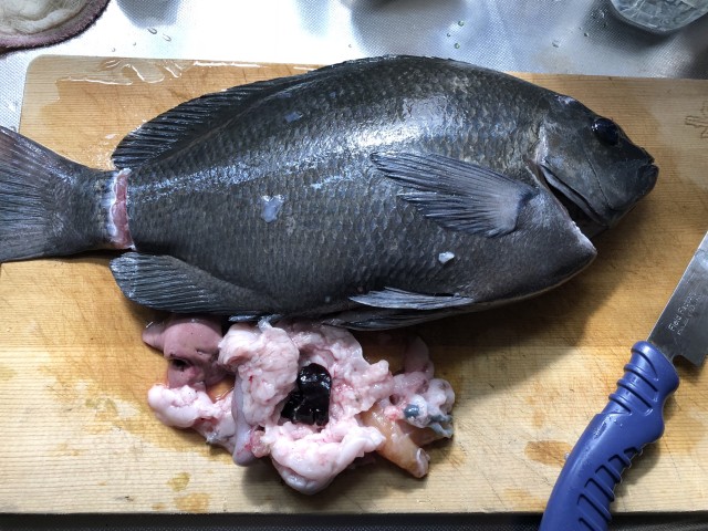 2７１３ブログ用