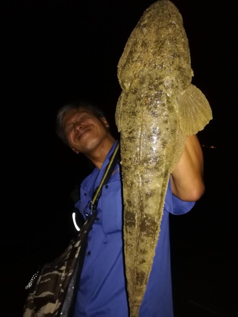 3b670555-2670-4742-8b7e-ab6ae7acb26a