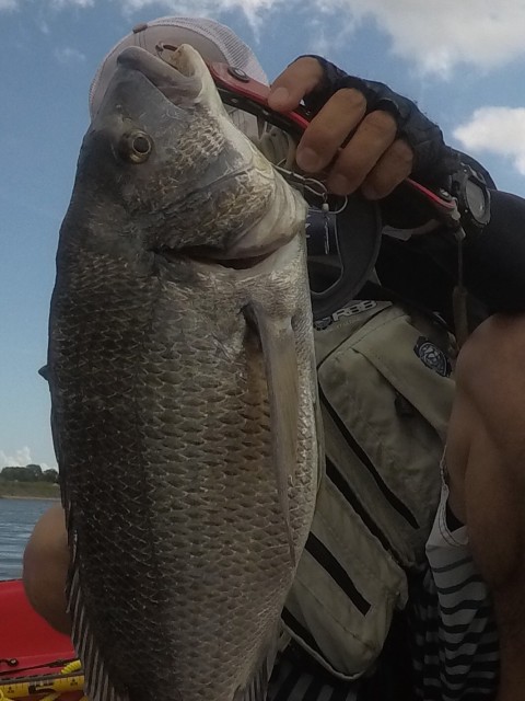 3e2c6086-f398-4daf-9cbf-5a6c27264918