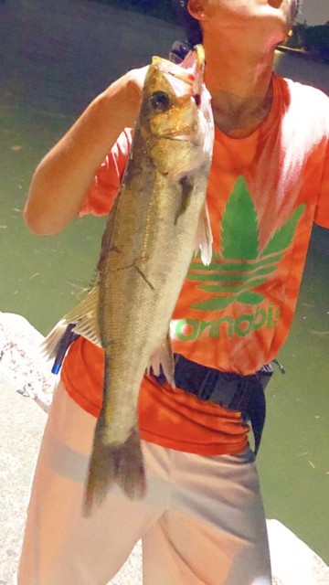 4902d7ce-bd49-46d6-af31-37a30c49b301