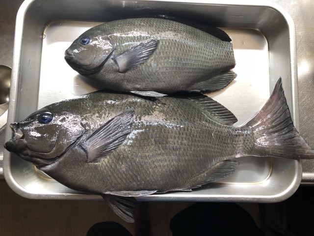 4７１３ブログ用