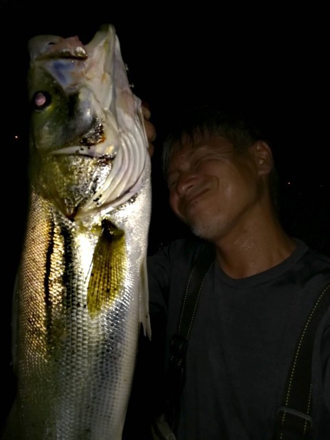 52817118-dd60-4048-9d3e-169cad1c172a