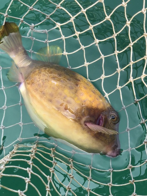 5７１３ブログ用