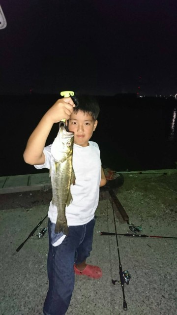 6d950235-5860-4c16-80e3-9dc8a3cc4e69