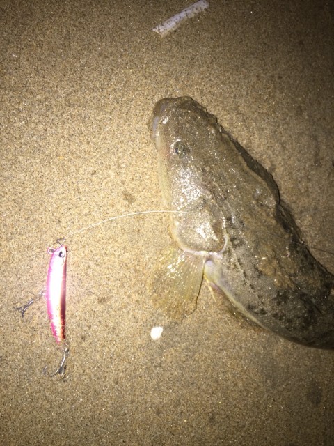 6fed8cde-20ce-4d4c-9804-745dd68d4f17