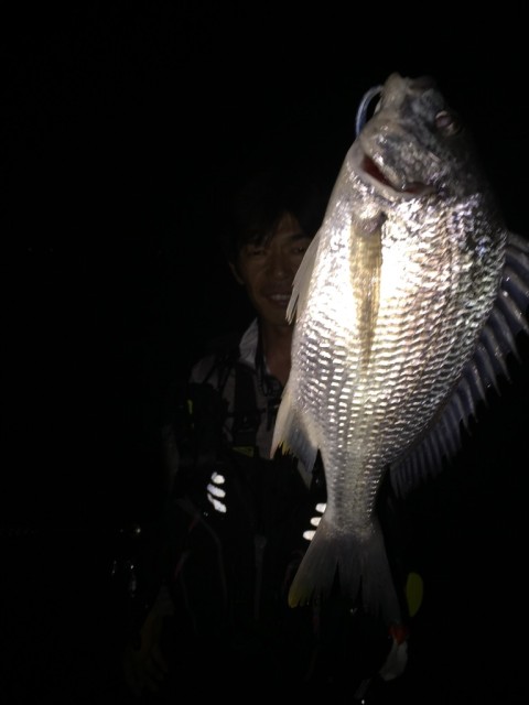 7.9キビレ42ｃｍ