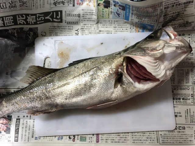 89aa3d8b-1350-4643-b9de-1265ce163c98