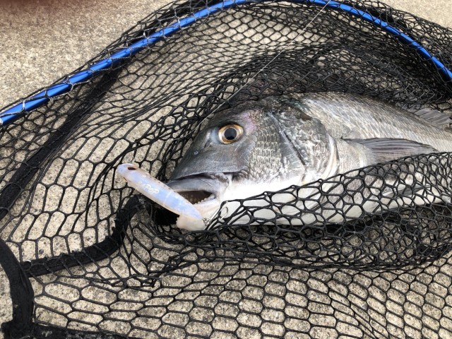 89ad3e08-0278-4ff6-b8f0-ddc82c43bd37