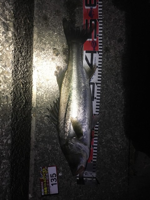 91601612-dc52-4cab-ab7d-f5ae0371a39d