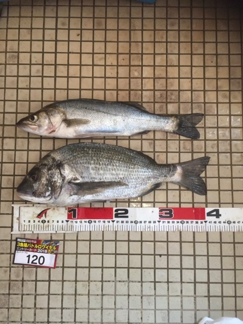 94736cae-e529-421c-a46f-ee807a058d2e