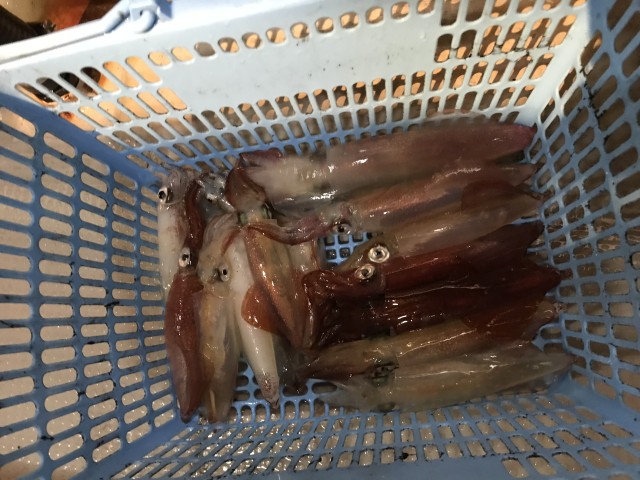 9F0E1887-F868-427B-BE12-122AB05CB5C8