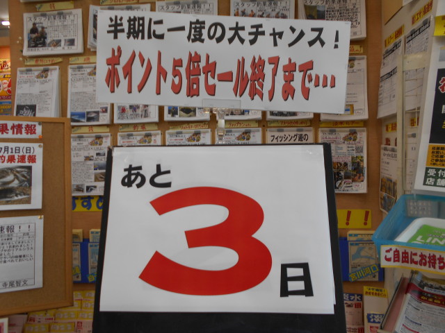 ポイント5倍セール終了まであと3日！